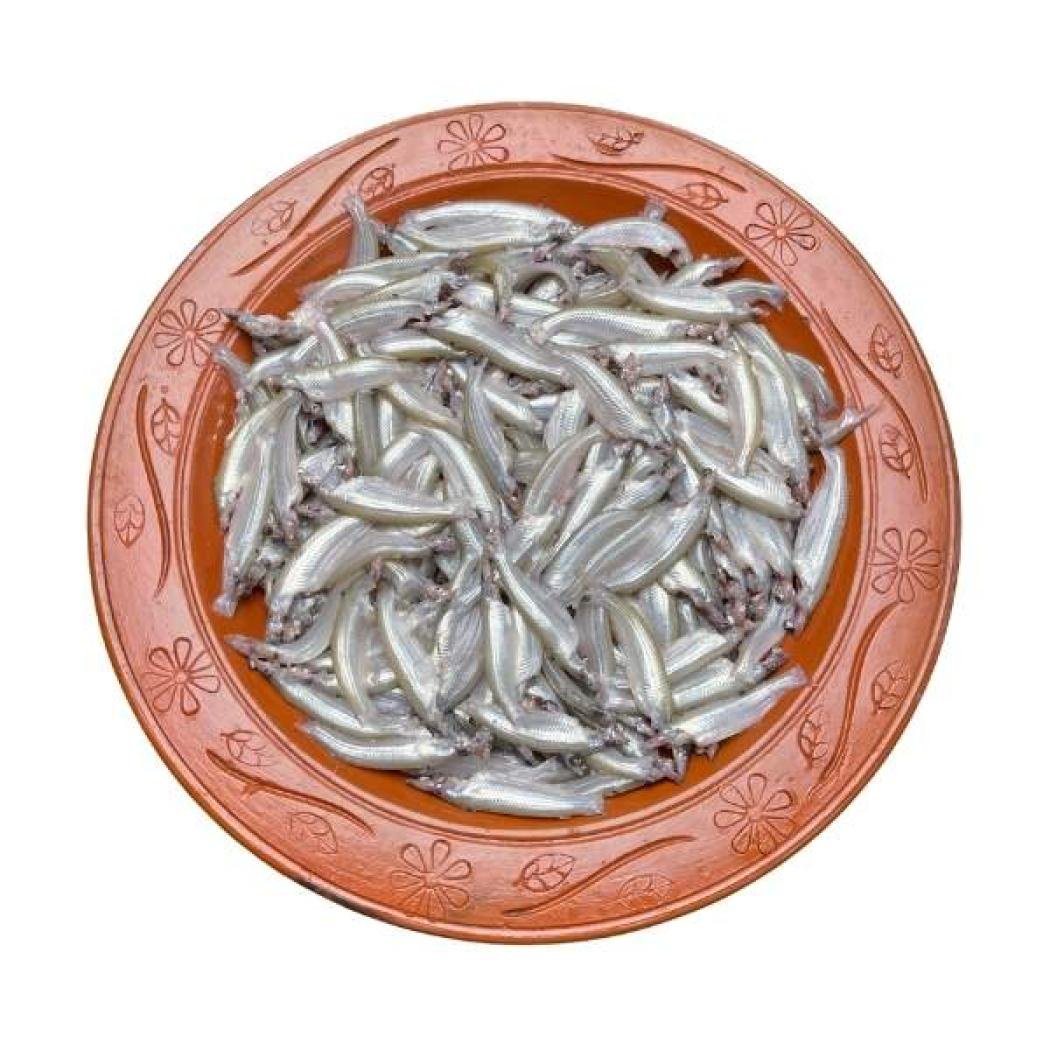 বাতাসি মাছ